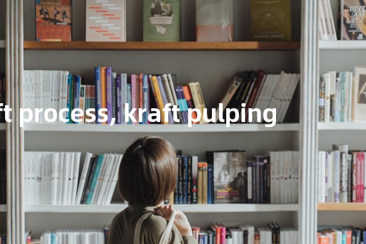 kraft process, kraft pulping单词图解，单词释义场景配图