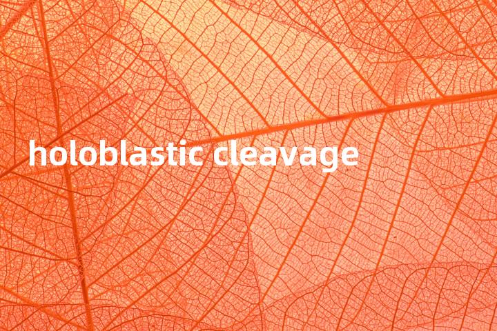 holoblastic cleavage单词图解，单词释义场景配图