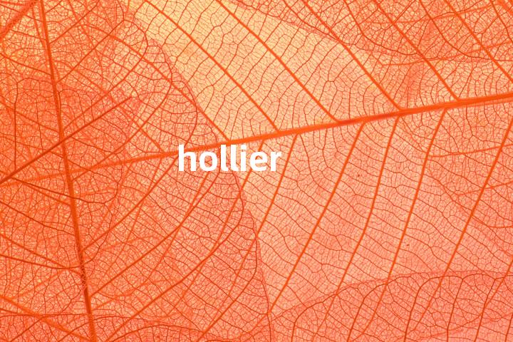 hollier单词图解，单词释义场景配图