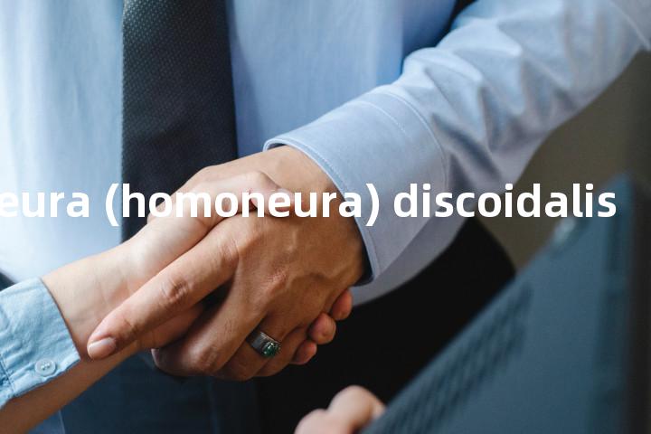 homoneura (homoneura) discoidalis单词图解，单词释义场景配图