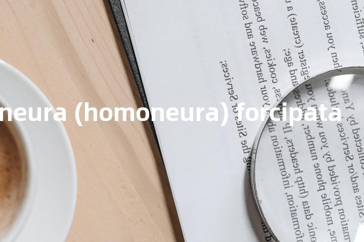 homoneura (homoneura) forcipata单词图解，单词释义场景配图