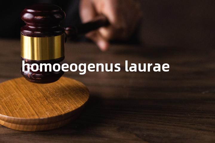 homoeogenus laurae单词图解，单词释义场景配图