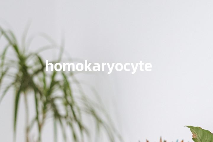 homokaryocyte单词图解，单词释义场景配图