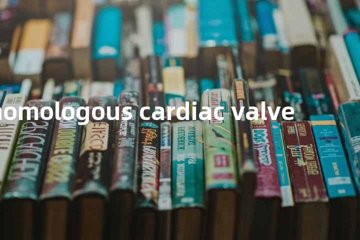 homologous cardiac valve单词图解，单词释义场景配图