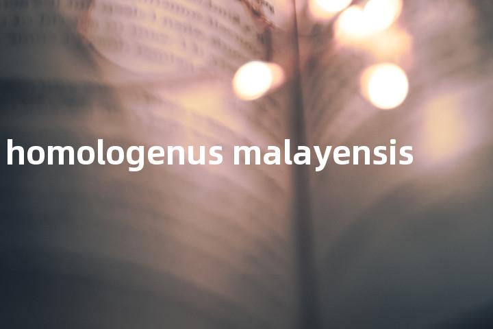 homologenus malayensis单词图解，单词释义场景配图