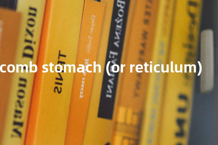 honey-comb stomach (or reticulum)单词图解，单词释义场景配图