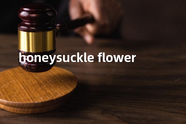 honeysuckle flower单词图解，单词释义场景配图
