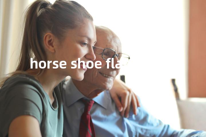 horse shoe flame单词图解，单词释义场景配图