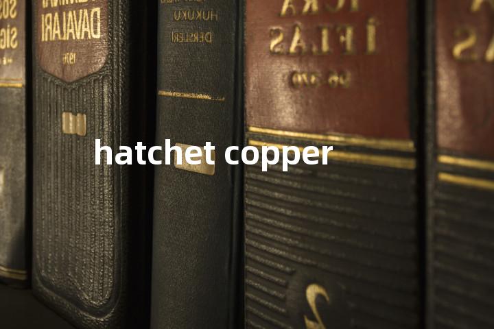 hatchet copper单词图解，单词释义场景配图