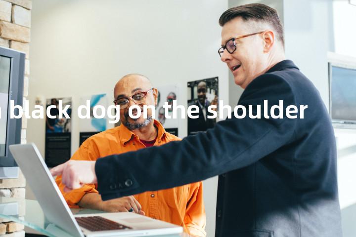 have a black dog on the shoulder单词图解，单词释义场景配图