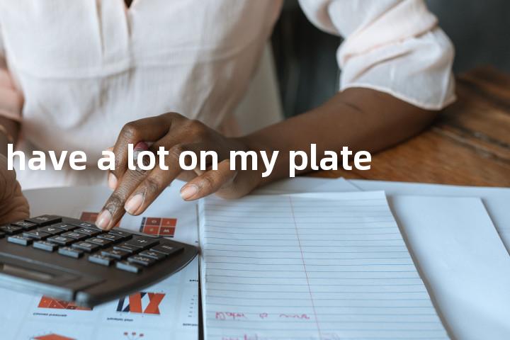 have a lot on my plate单词图解，单词释义场景配图
