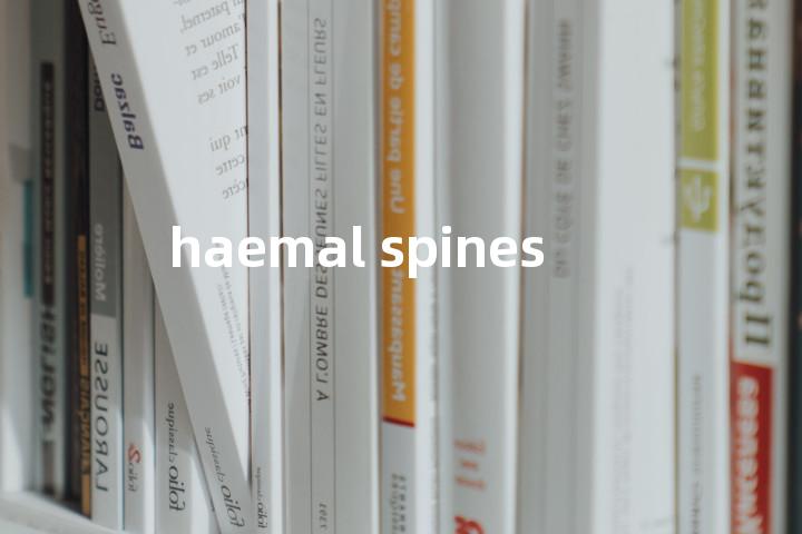 haemal spines单词图解，单词释义场景配图