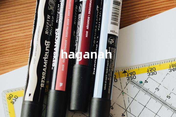 haganah单词图解，单词释义场景配图