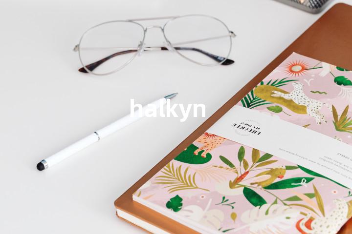 halkyn单词图解，单词释义场景配图