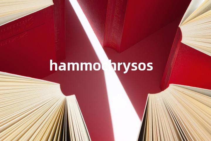 hammochrysos单词图解，单词释义场景配图