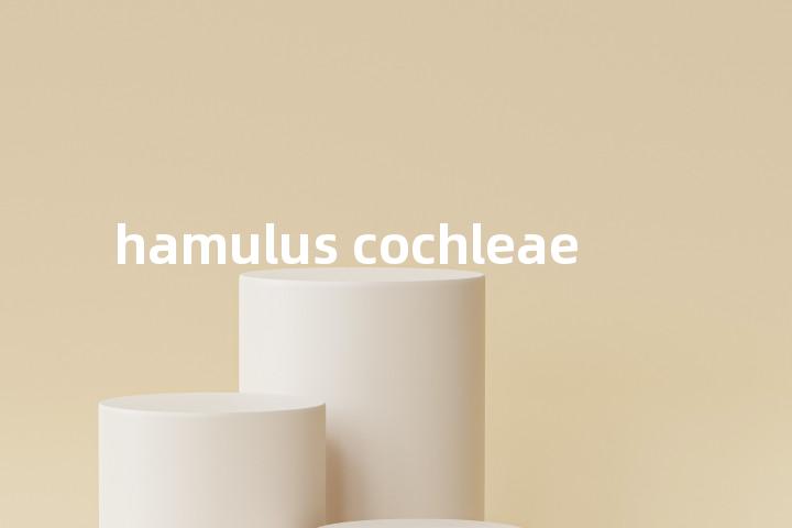 hamulus cochleae单词图解，单词释义场景配图