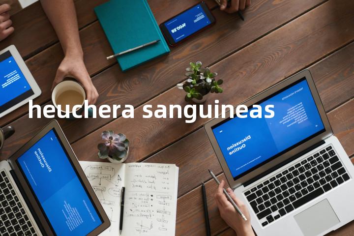heuchera sanguineas单词图解，单词释义场景配图