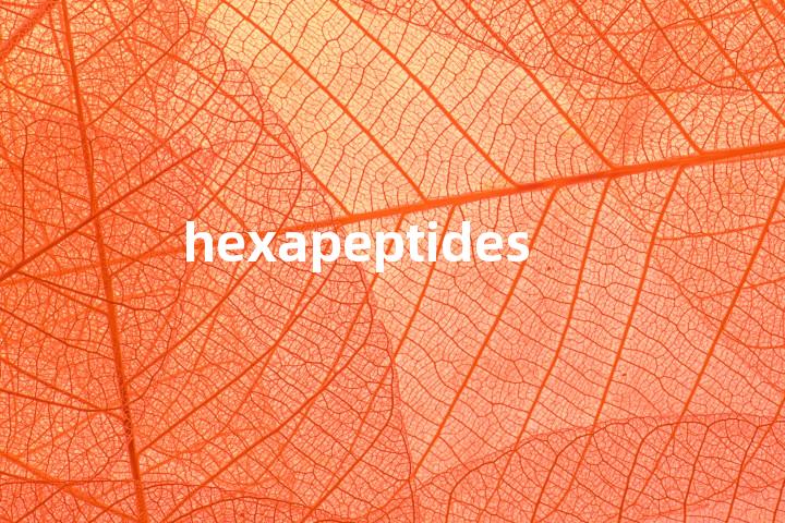 hexapeptides单词图解，单词释义场景配图