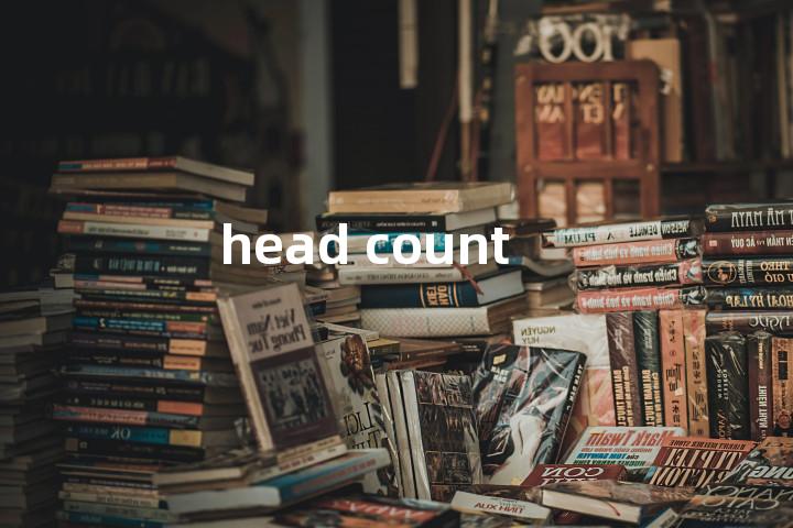 head count单词图解，单词释义场景配图