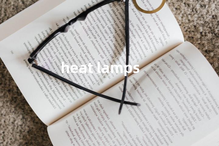 heat lamps单词图解，单词释义场景配图