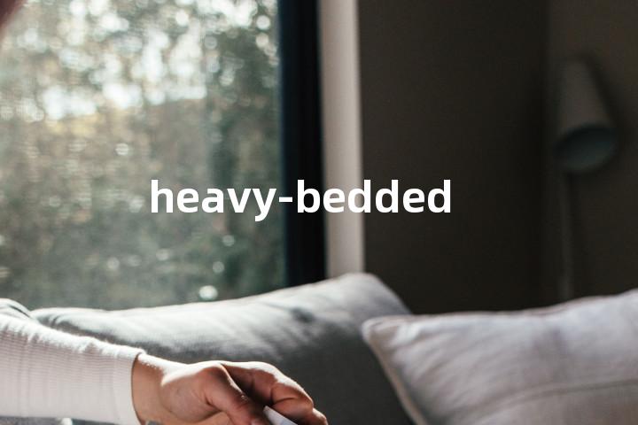 heavy-bedded单词图解，单词释义场景配图
