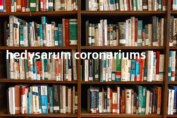hedysarum coronariums单词图解，单词释义场景配图