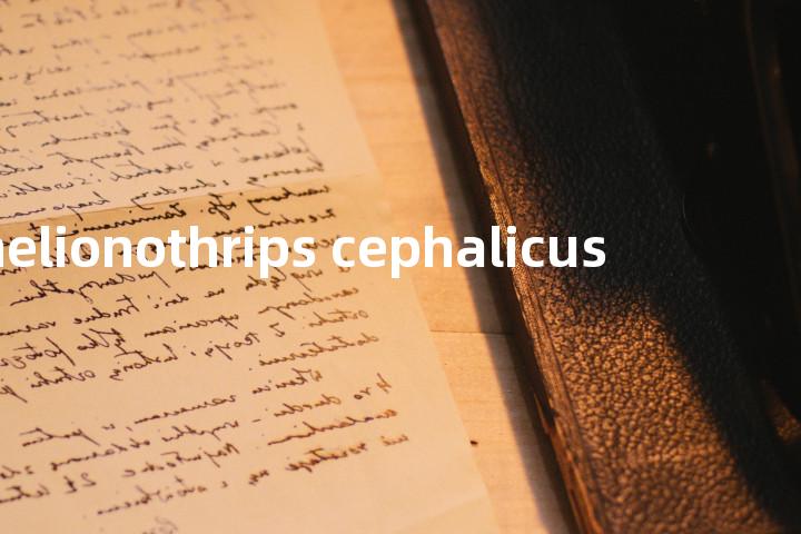 helionothrips cephalicus单词图解，单词释义场景配图