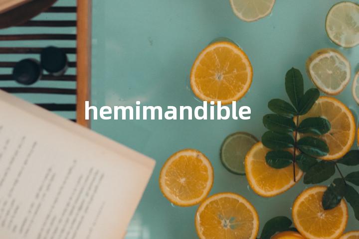 hemimandible单词图解，单词释义场景配图