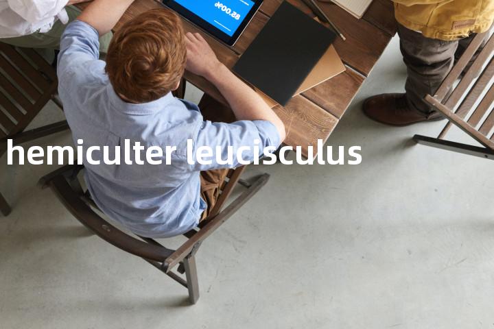 hemiculter leucisculus单词图解，单词释义场景配图