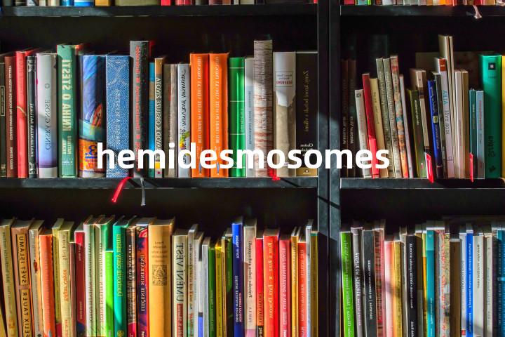 hemidesmosomes单词图解，单词释义场景配图