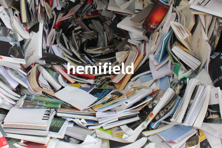 hemifield单词图解，单词释义场景配图