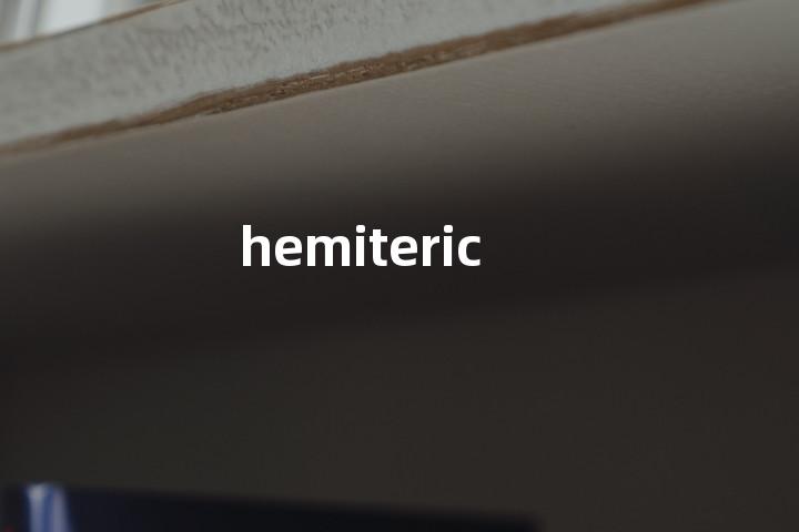 hemiteric单词图解，单词释义场景配图