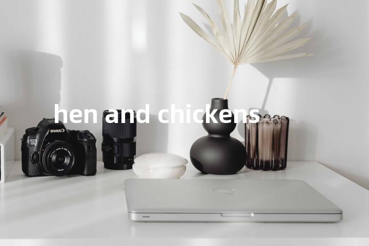 hen and chickens单词图解，单词释义场景配图