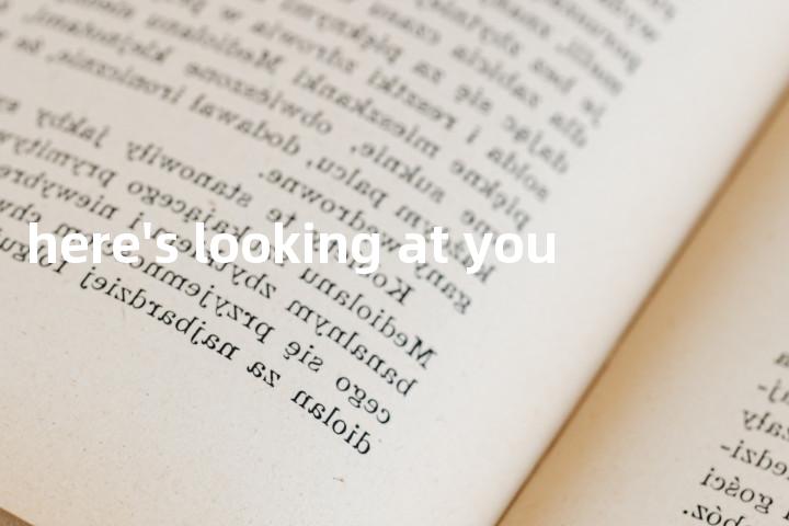 here's looking at you单词图解，单词释义场景配图
