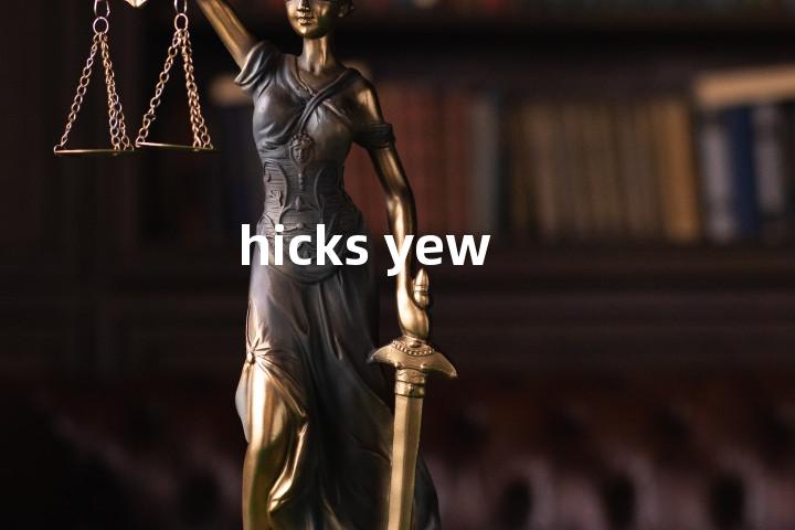 hicks yew单词图解，单词释义场景配图