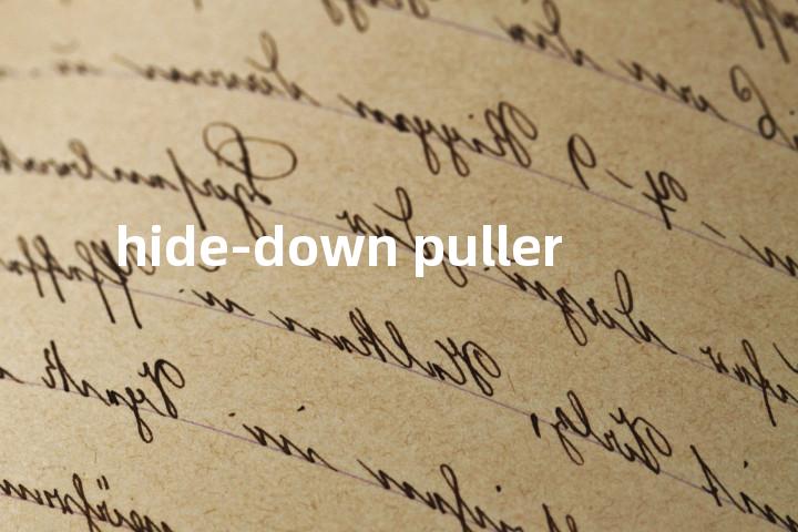 hide-down puller单词图解，单词释义场景配图