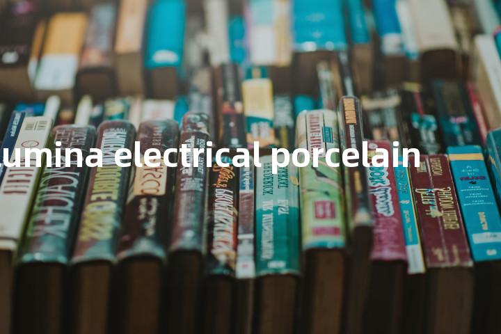 high-alumina electrical porcelain单词图解，单词释义场景配图