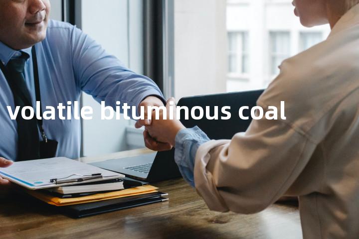 high volatile bituminous coal单词图解，单词释义场景配图
