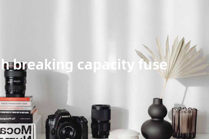 high breaking capacity fuse单词图解，单词释义场景配图