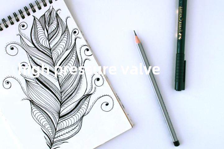 high pressure valve单词图解，单词释义场景配图