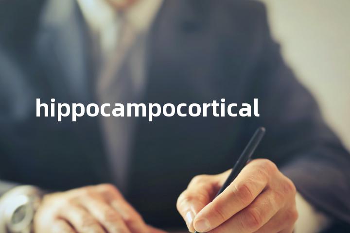 hippocampocortical单词图解，单词释义场景配图