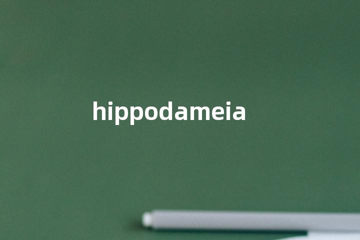 hippodameia单词图解，单词释义场景配图