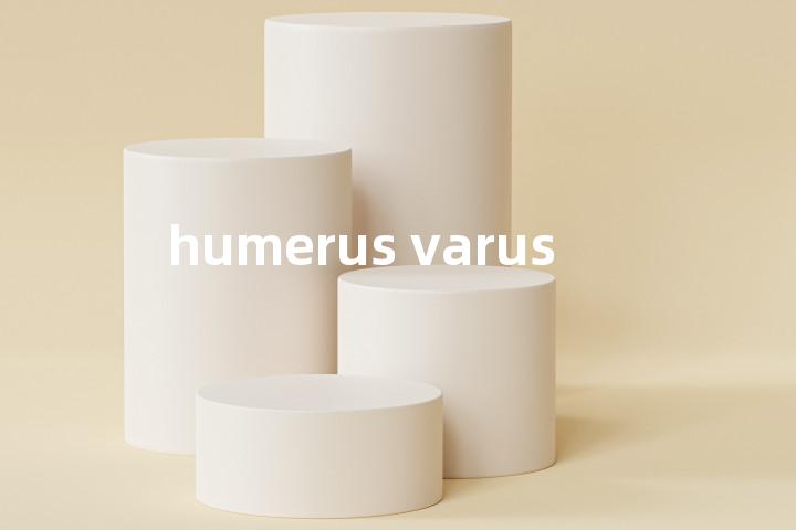 humerus varus单词图解，单词释义场景配图