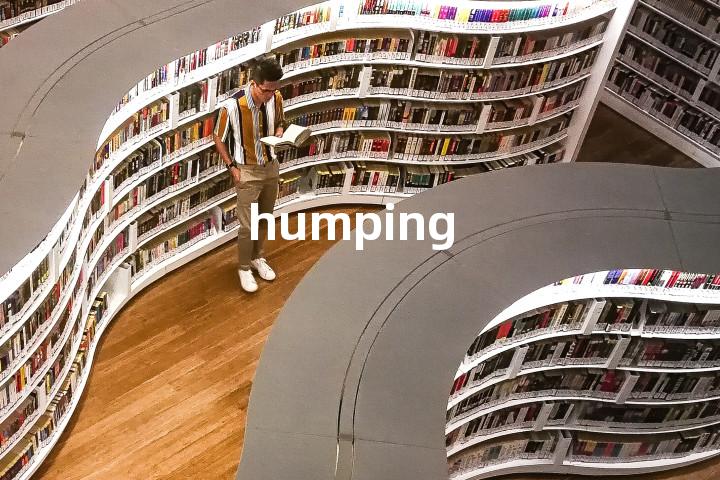 humping单词图解，单词释义场景配图
