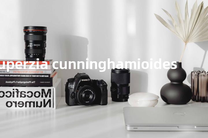 huperzia cunninghamioides单词图解，单词释义场景配图