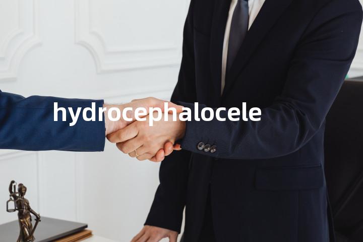 hydrocephalocele单词图解，单词释义场景配图