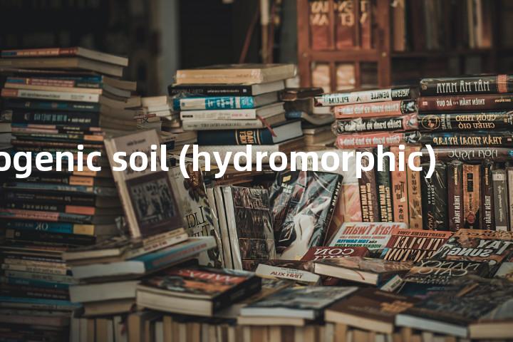 hydrogenic soil (hydromorphic)单词图解，单词释义场景配图