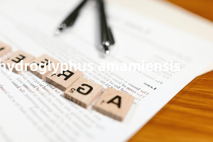 hydroglyphus amamiensis单词图解，单词释义场景配图