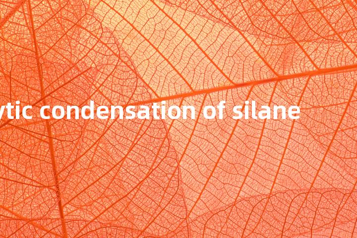hydrolytic condensation of silane单词图解，单词释义场景配图