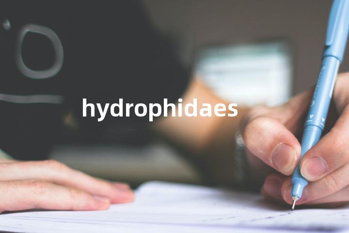 hydrophidaes单词图解，单词释义场景配图